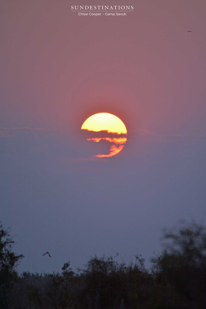 Sunset in Savuti