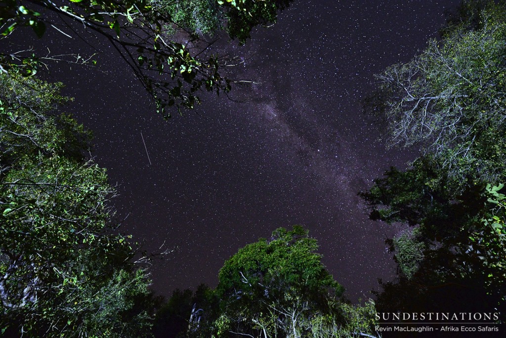 The stellar night skies in the Okavango Delta