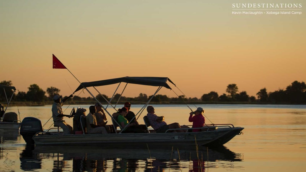 Bobbing gently on the surface of the Delta waters at sunset