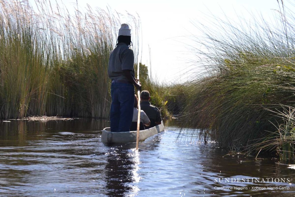 Mekoro Trip in the Okavango Delta
