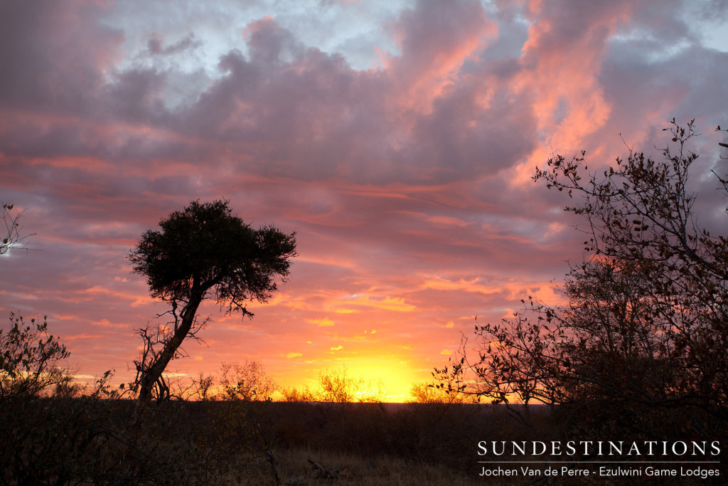 A final flare of magnificence to compete a perfect day on safari