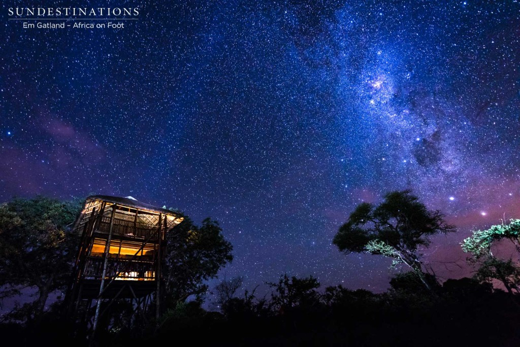 The galactic extravagance of the Milky Way, lighting up the skies above the Treehouse