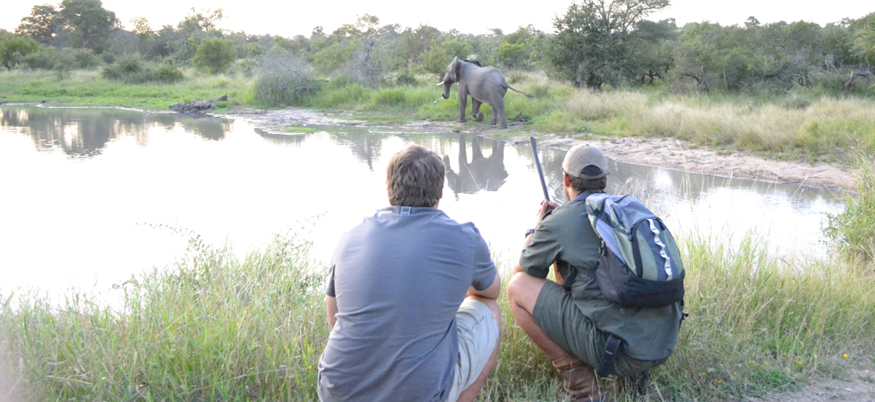 Africa On Foot Walking Safaris Africa On Foot Walking Safaris