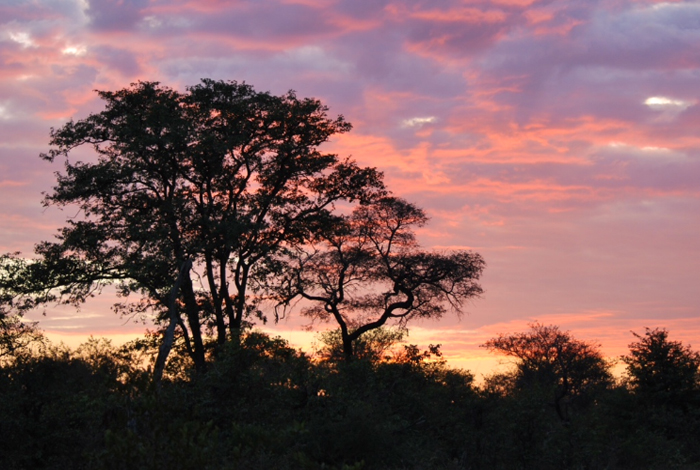 Sunset in Klaserie Private Nature Reserve