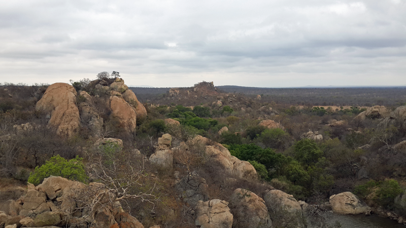 koppies-marakapula-chloe