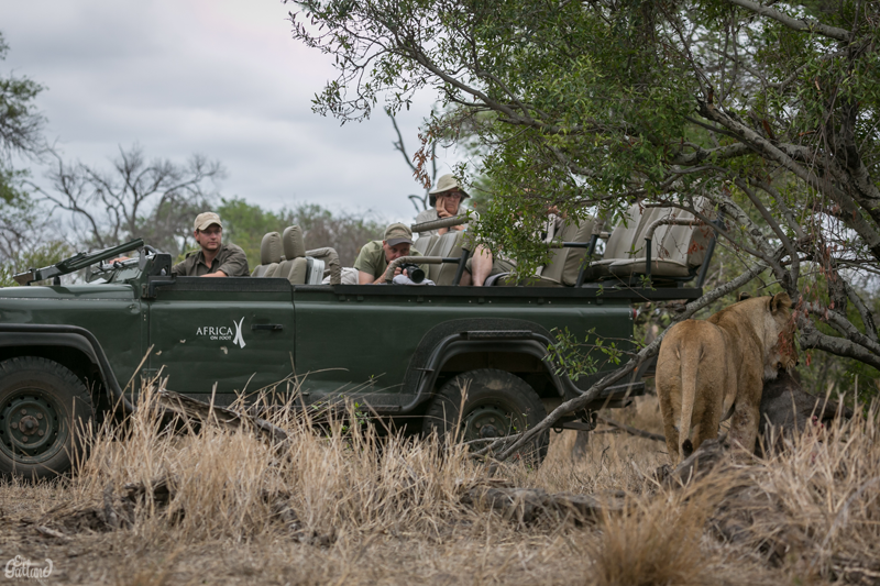 Image by Em Gatland.