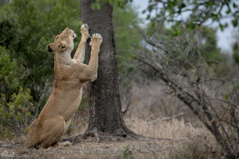 Image by Em Gatland.