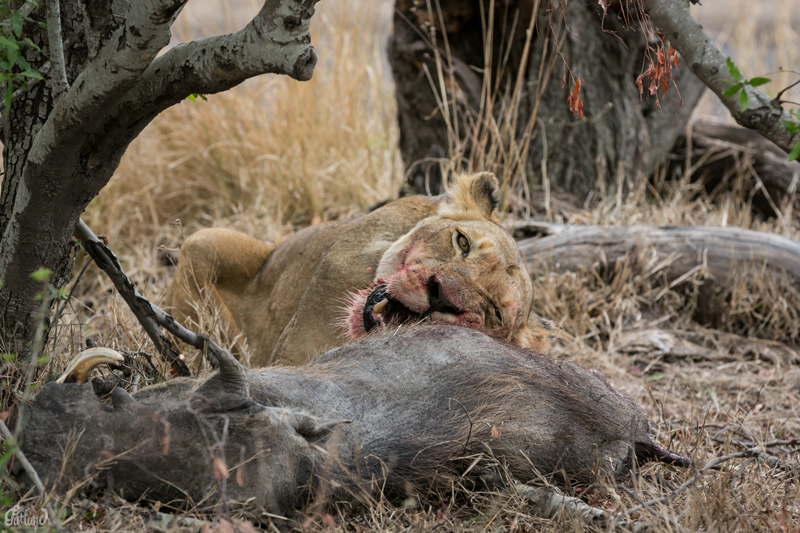 Image by Em Gatland.