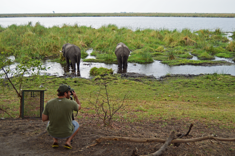 Photographer, Kevin MacLaughlin, capturing footage of the elephants as they moved through our campsite at Camp Linyanti.