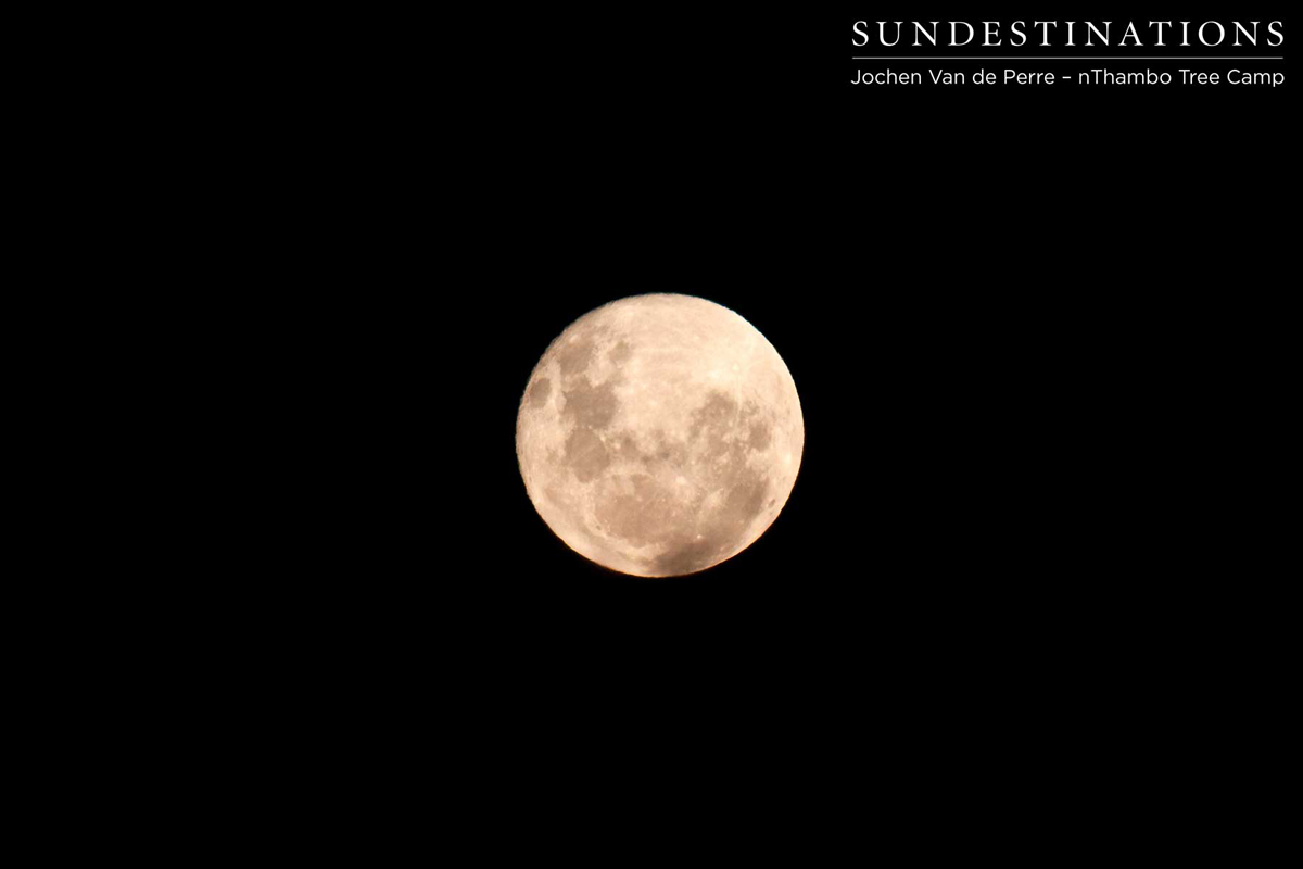 Full moon - perfect setting for a braai Full moon - perfect setting for a braai