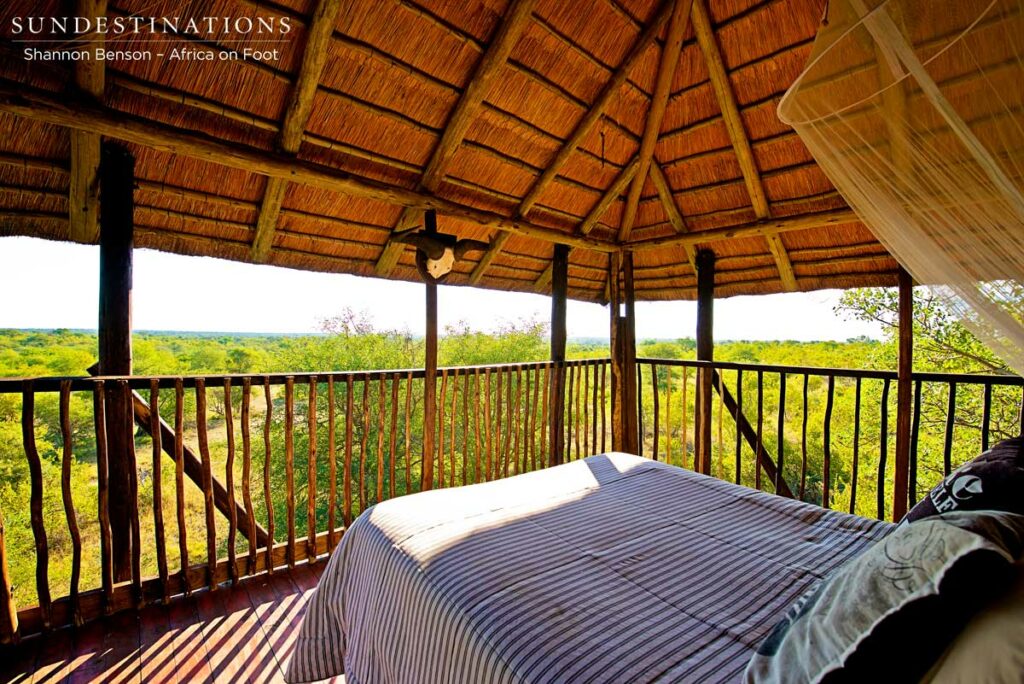 View from the tree house bedroom at Africa on Foot View from the tree house bedroom at Africa on Foot