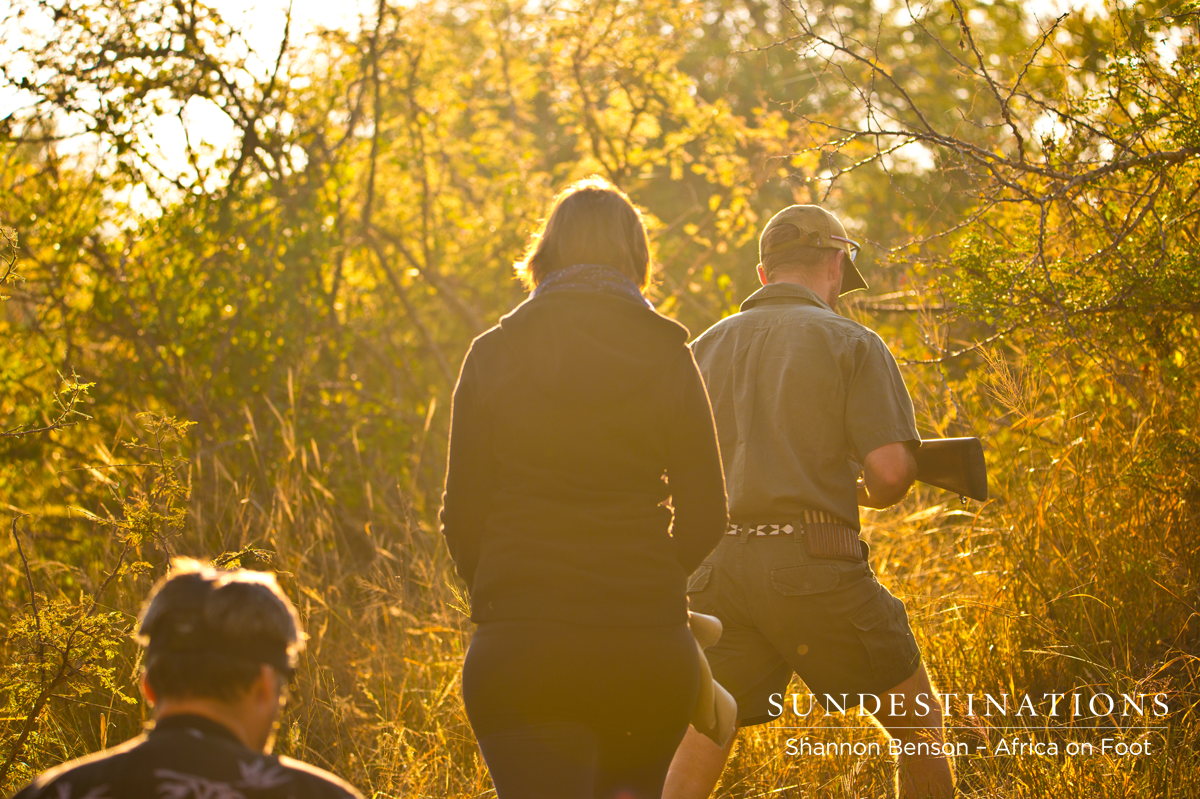 Walking safari at Africa on Foot Walking safari at Africa on Foot