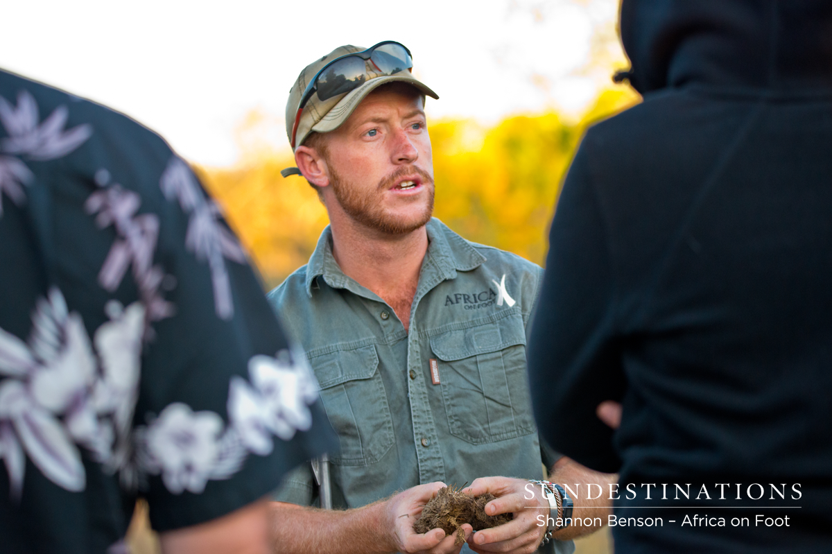 Greg - Africa on Foot Greag, from Africa on Foot, teaches guests about how to read animal dung