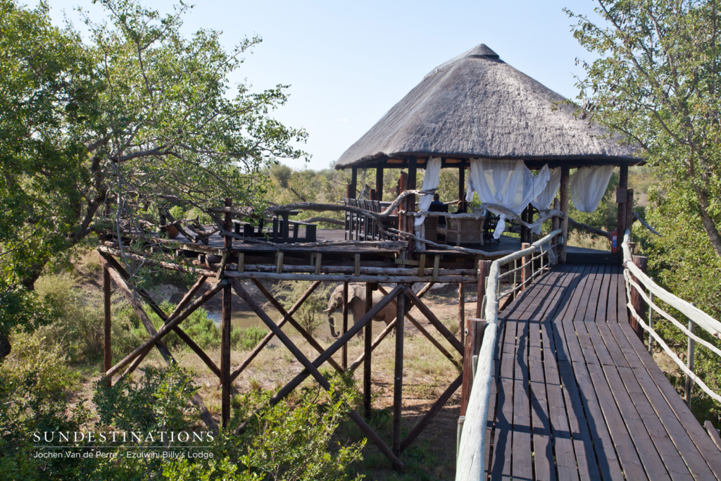 Viewing Deck and Elephants Viewing Deck and Elephants
