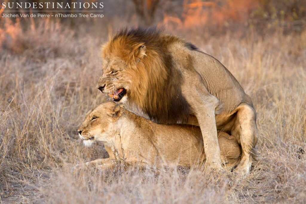 Caught in the act Caught in the act