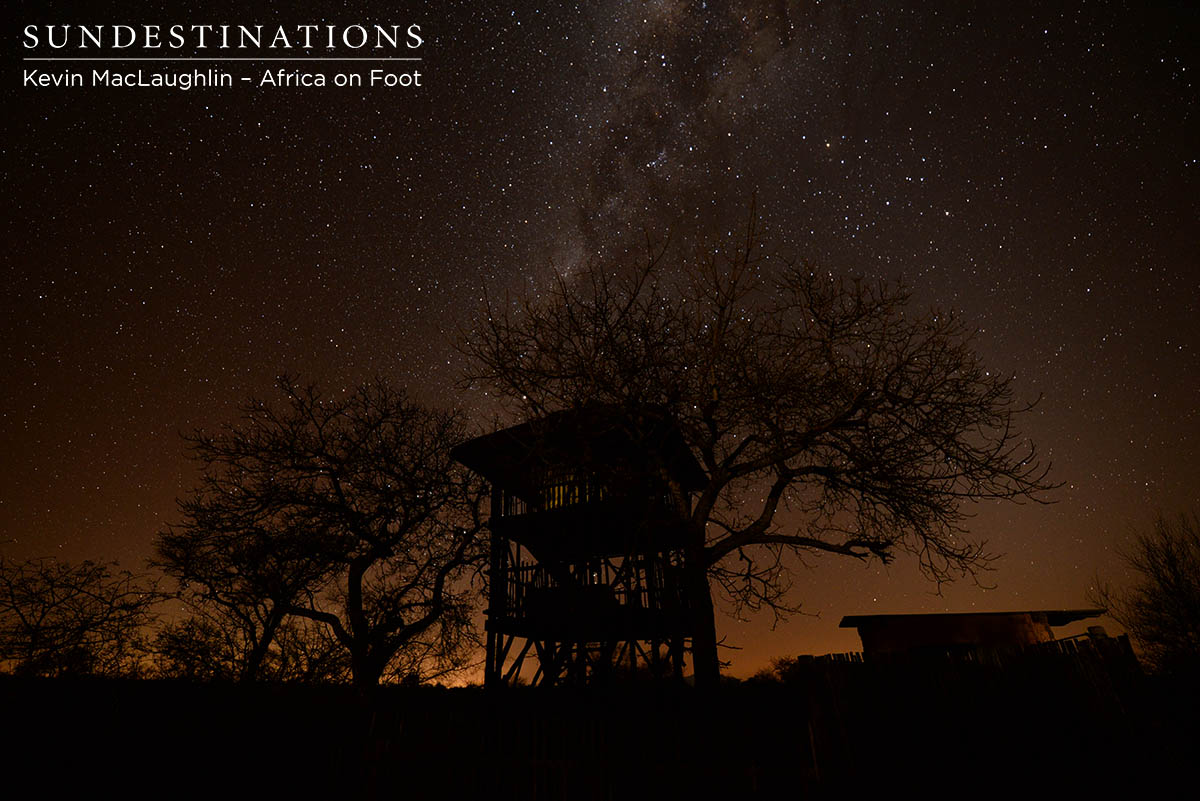 AOF Treehouse Starlight AOF Treehouse Starlight