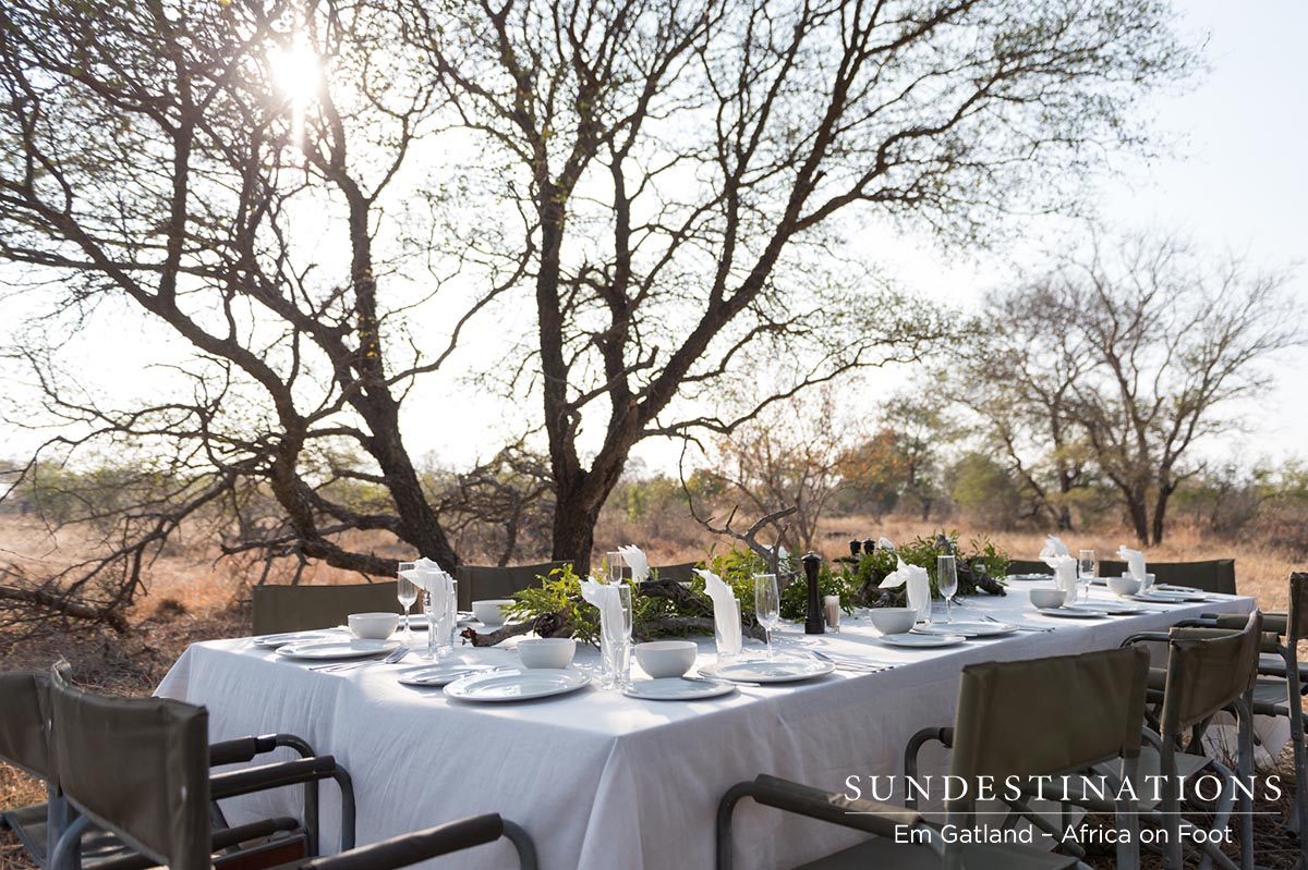 BushBreakfast Bush Breakfast