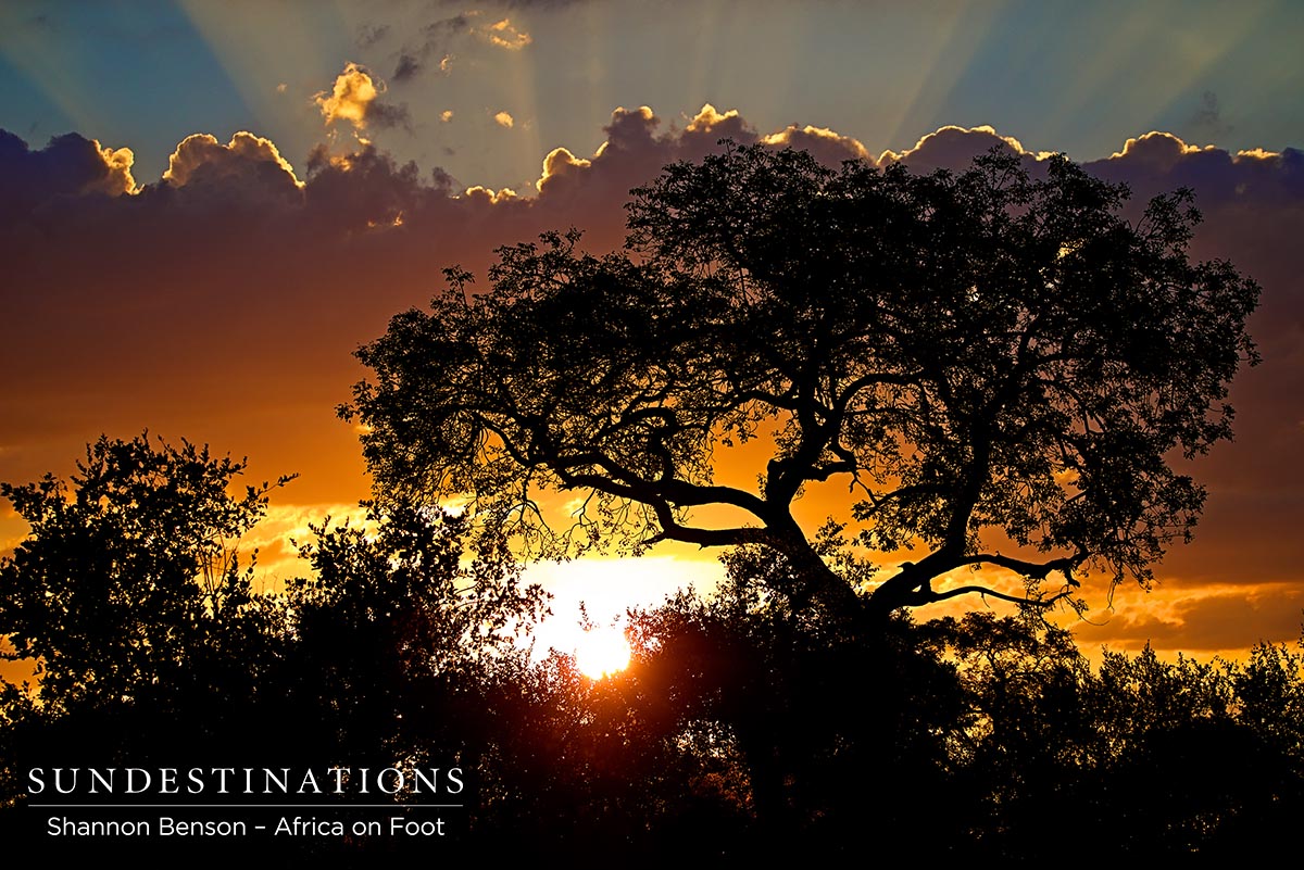 Klaserie Sunset, South Africa Klaserie Sunset, South Africa