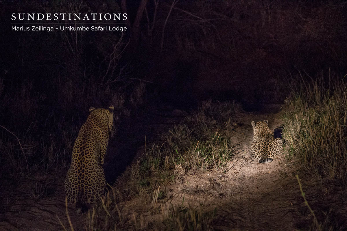 Mxabene & Warthog Wallow Mxabene & Warthog Wallow