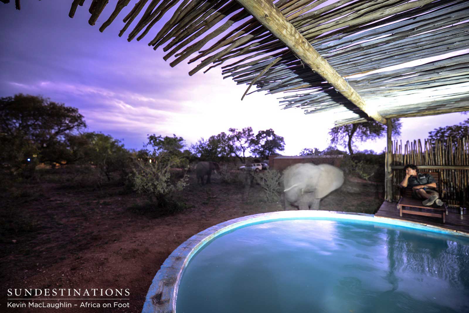 Elephants - Africa on Foot Elephants - Africa on Foot