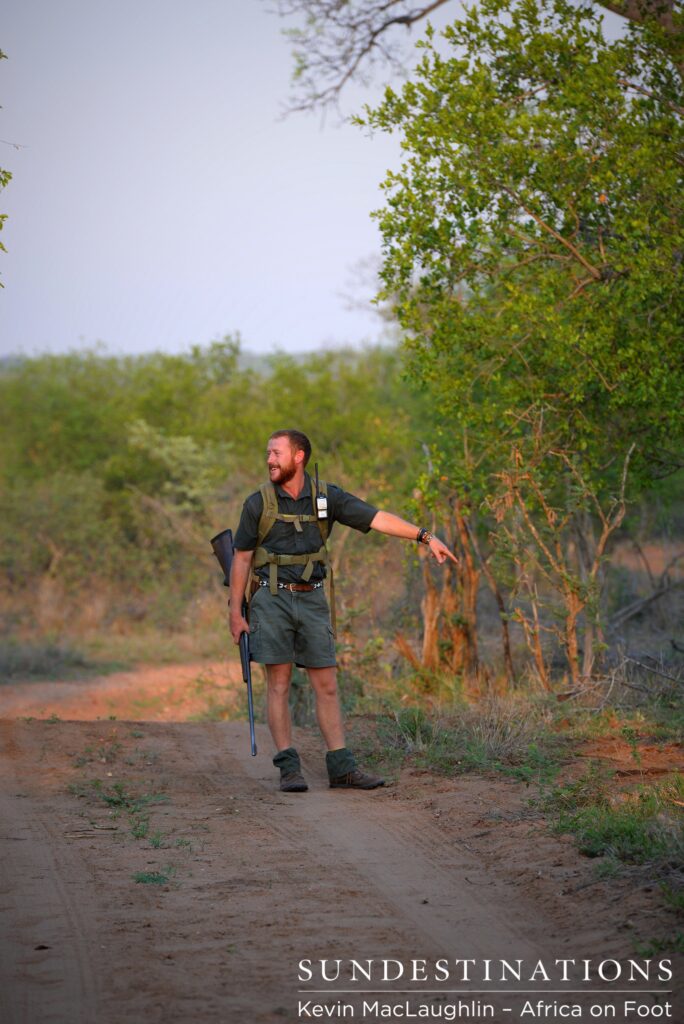 Greg conducting a walking safari Greg conducting a walking safari