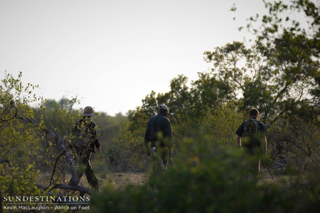 Leaving only footprints Leaving only footprints