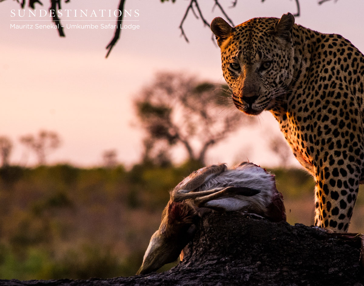 UmkumbeMxabene Mxabene with Kill