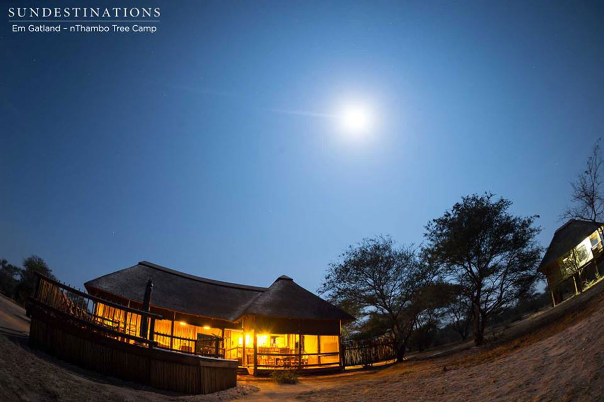 nThambo Tree Camp nThambo Tree Camp