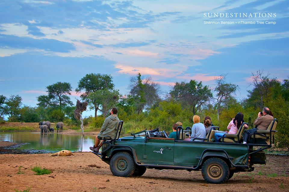 nThambo Guests Matt with guests from nThambo Tree Camp