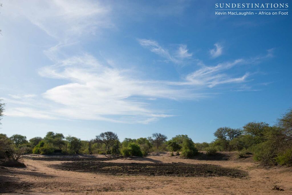 Dry dam in the Klaserie Private Nature Reserve Dry dam in the Klaserie Private Nature Reserve