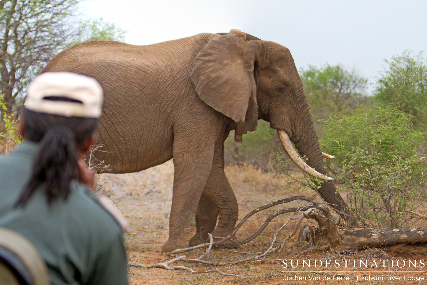 Shoshangaan Balule Shoshangaan Balule