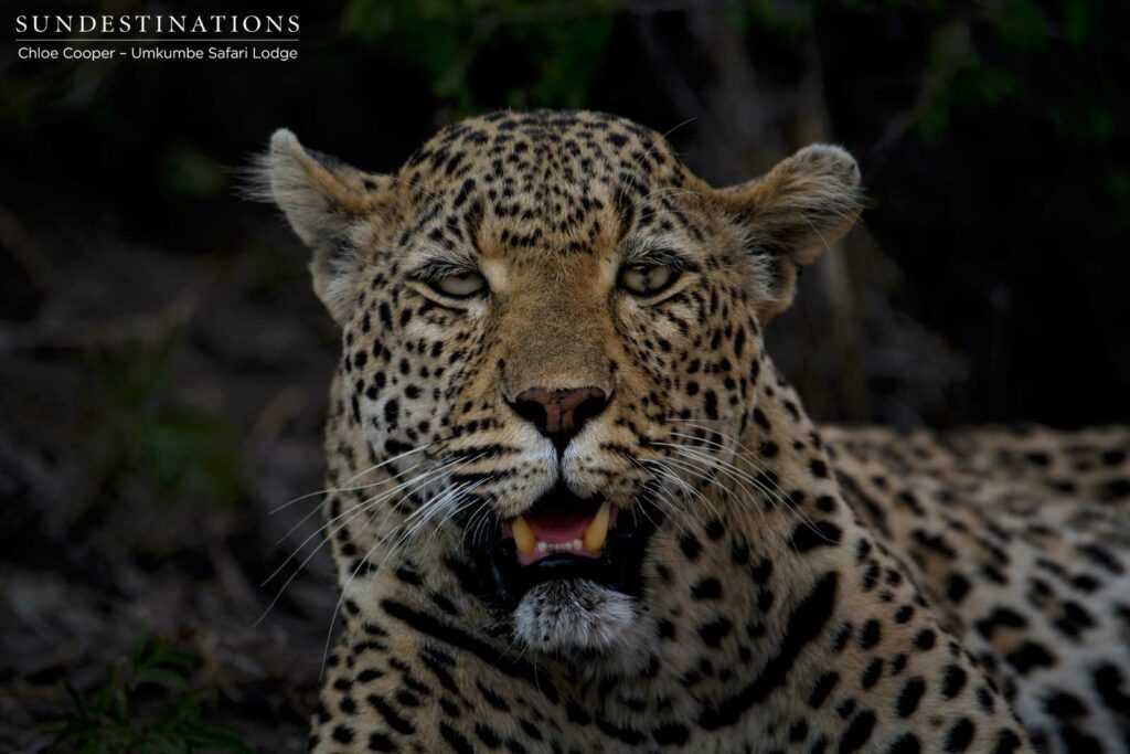 Looking into the eyes of White Dam Looking into the eyes of White Dam