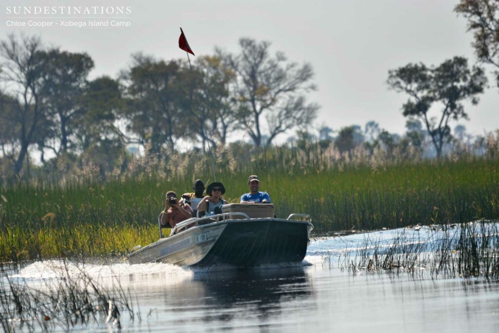 Cruising through the Delta Cruising through the Delta