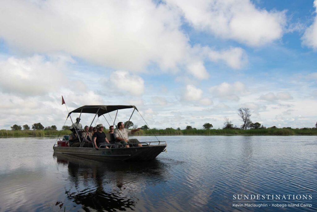 Game spotting from the boat in the Okavango Delta Game spotting from the boat in the Okavango Delta