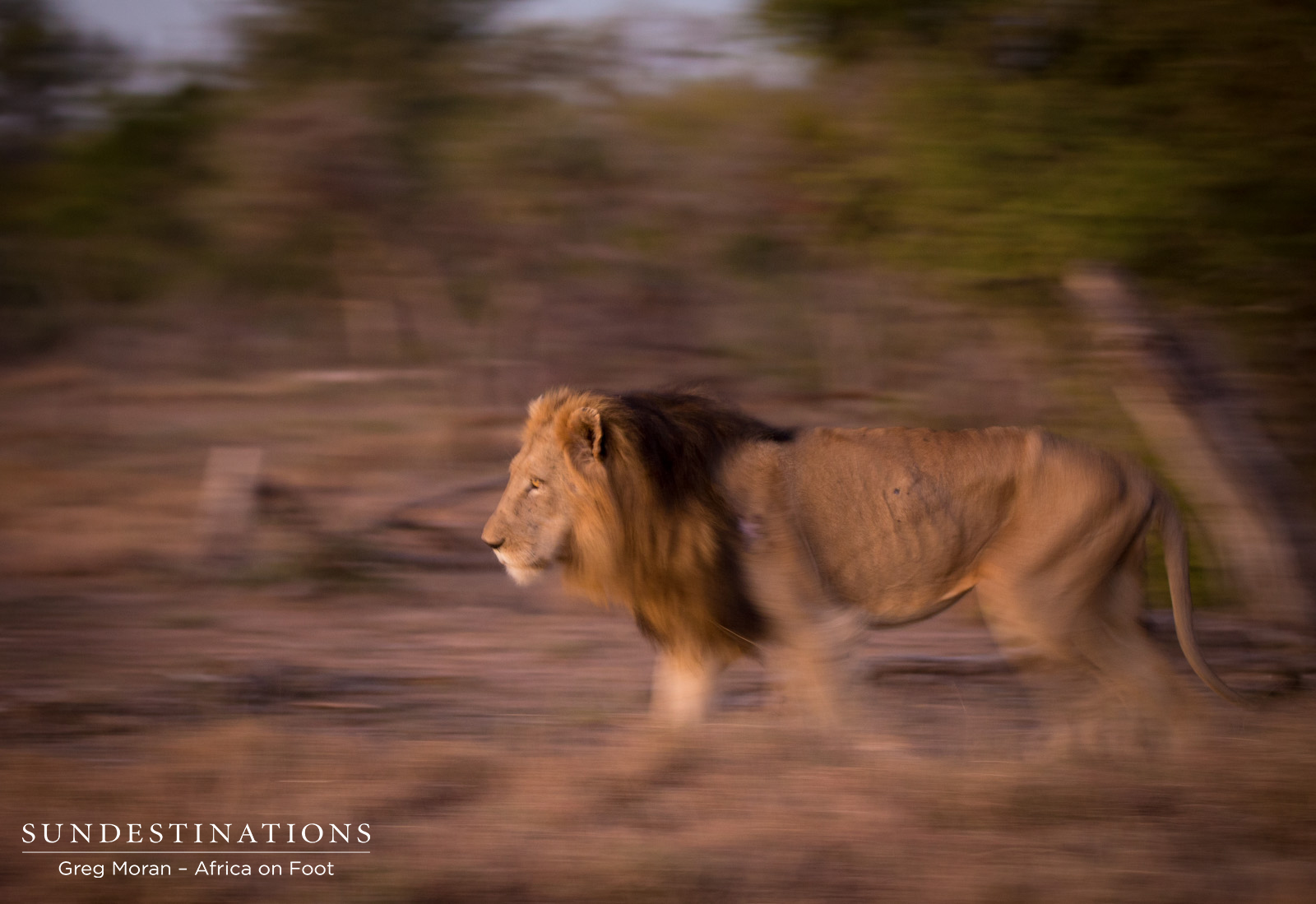 Trilogy Approaches Mabande Trilogy Approaches Mabande