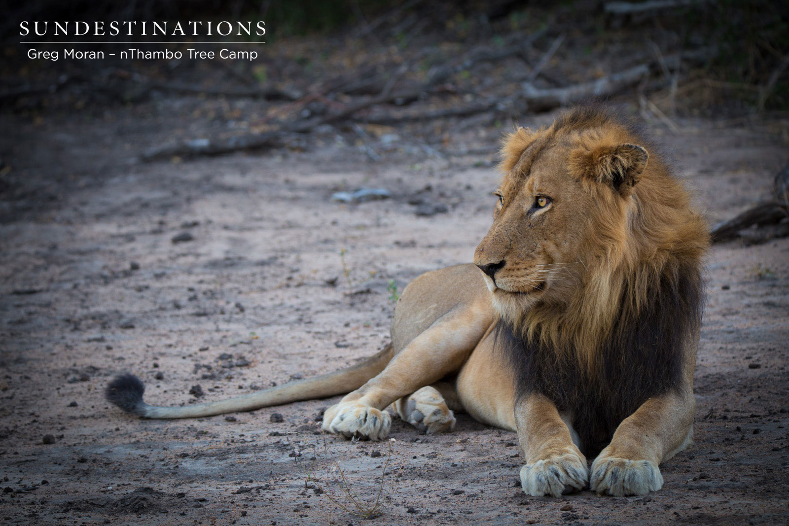 Mabande nThambo Mabande nThambo