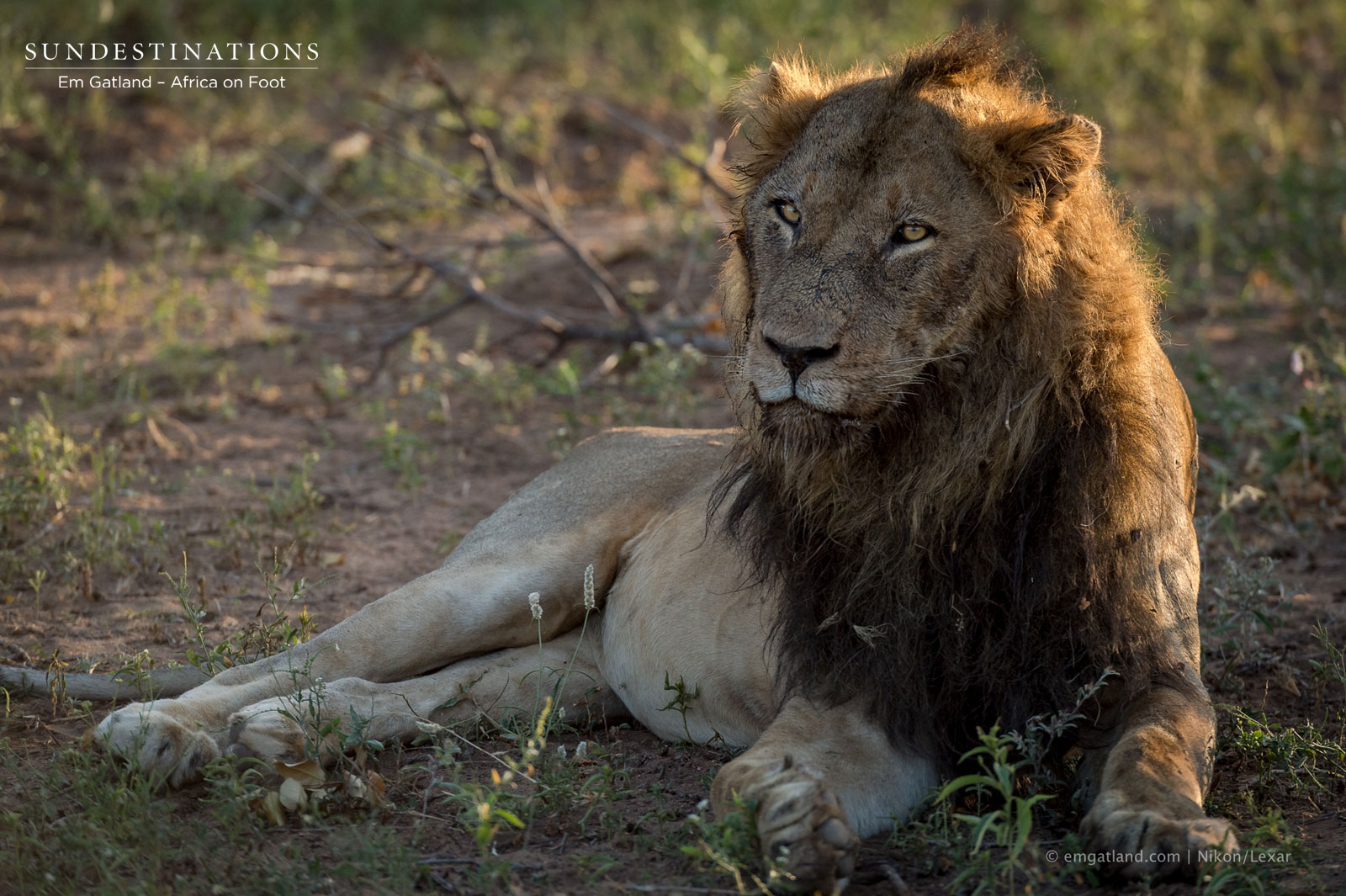 Mabende Male Mabende Male