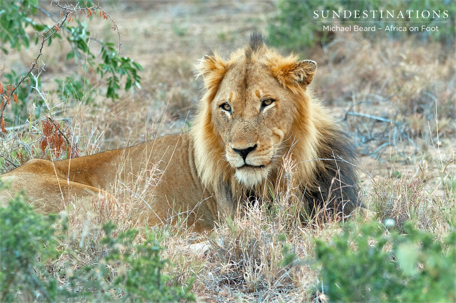 Mabende Boy Mabende Boy