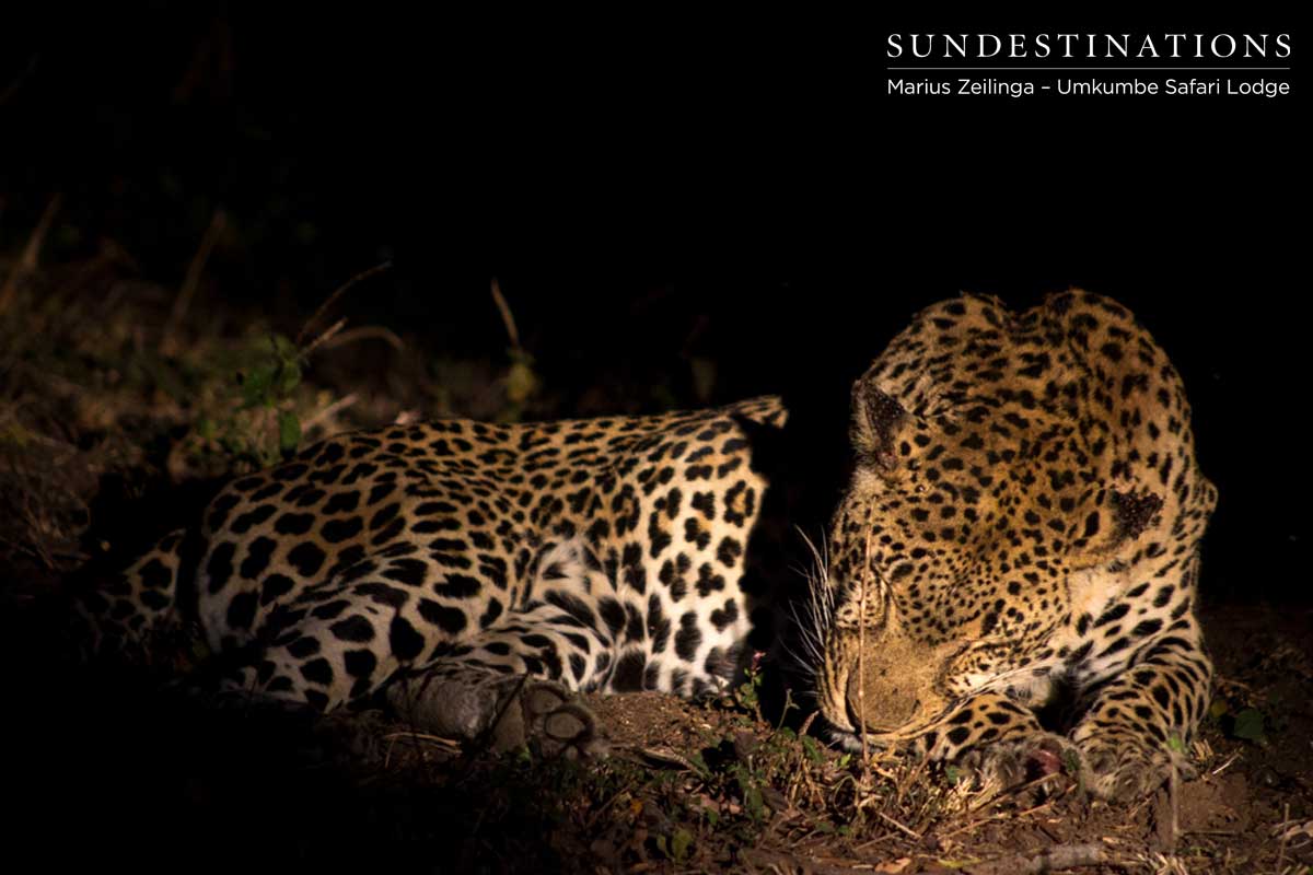 Bicycle Crossing Bicycle Crossing