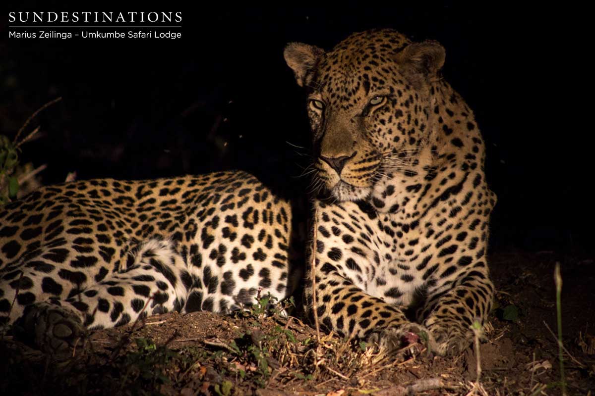 Bicycle Crossing Tom Bicycle Crossing Tom