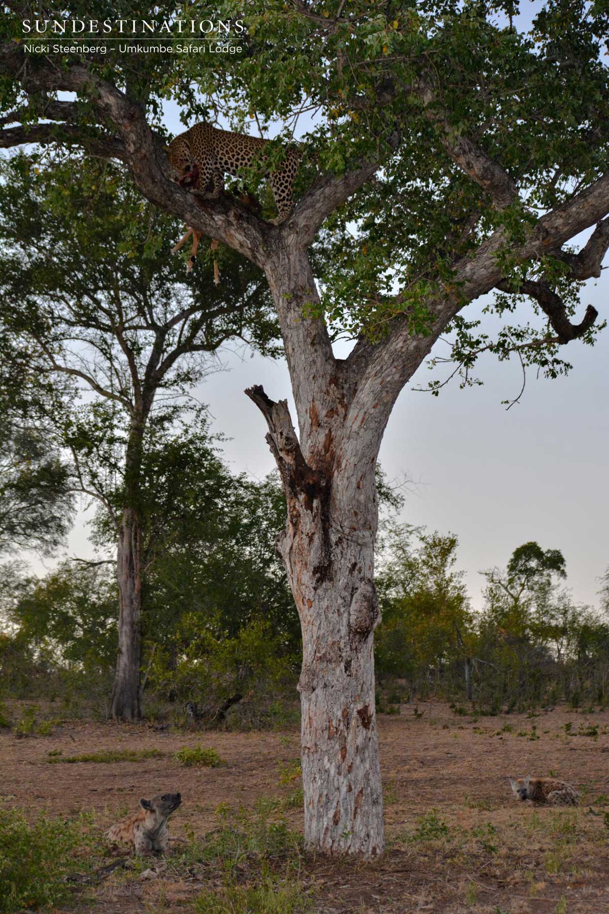 InyathiniUmkumbe InyathiniUmkumbe