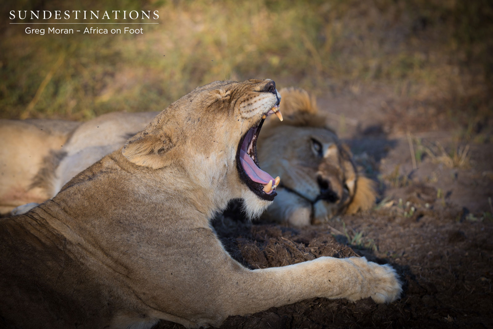 Mabande with Ross Girls Mabande with Ross Girls