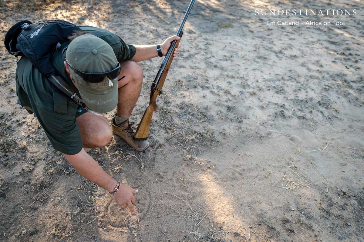 Track Identification Track Identification