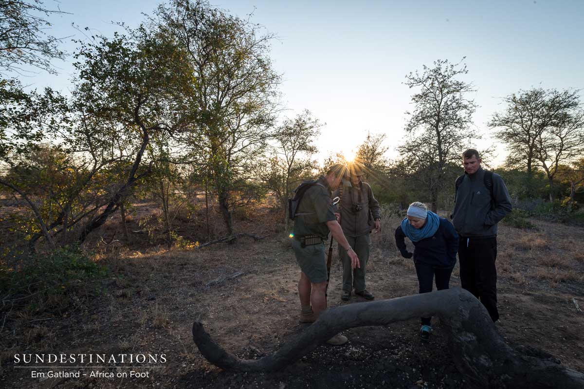 Evidence of Wildlife Evidence of Wildlife