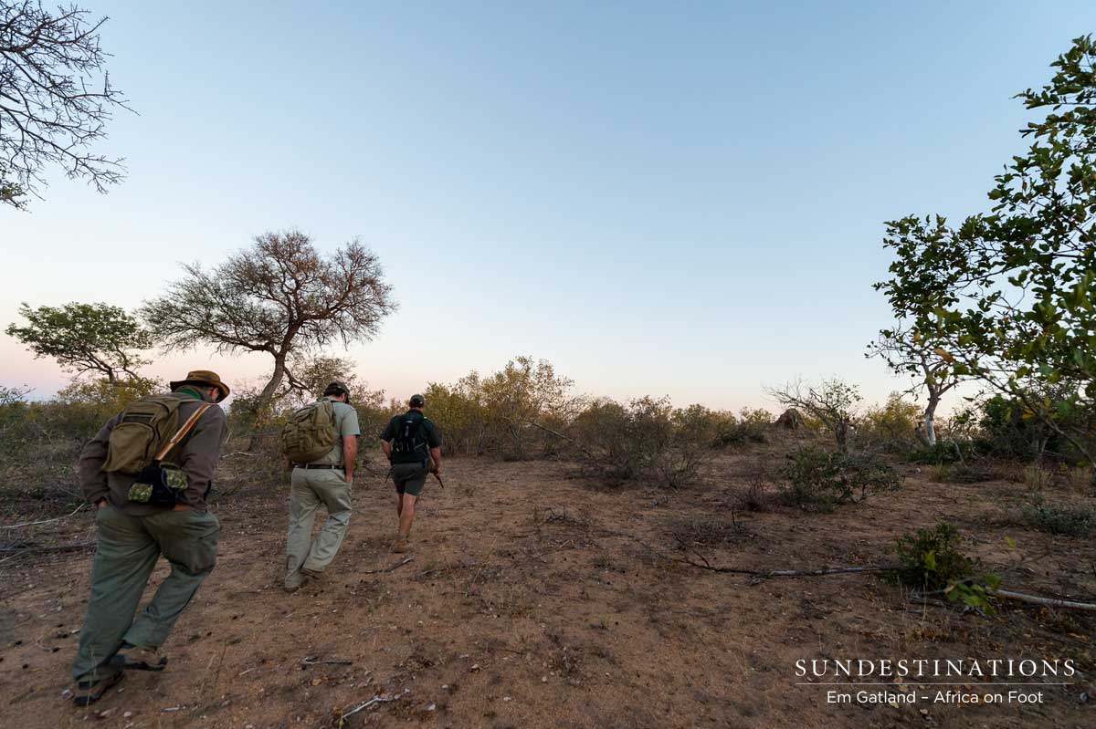 Walking Safari in Klaserie Walking Safari in Klaserie