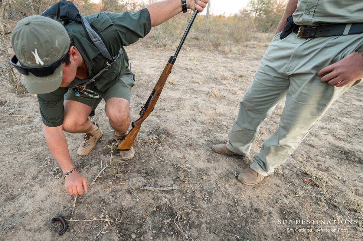 Wildlife on Foot Wildlife on Foot