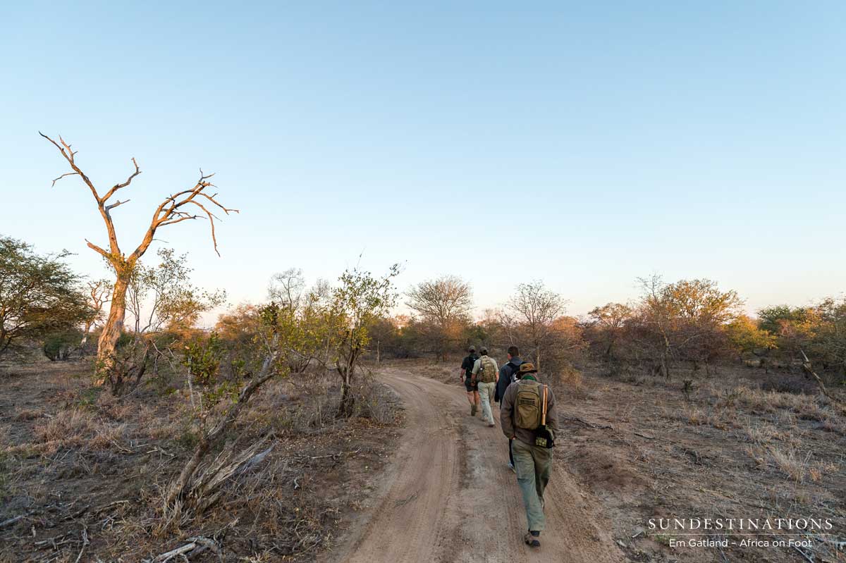 Heading into the Klaserie Heading into the Klaserie