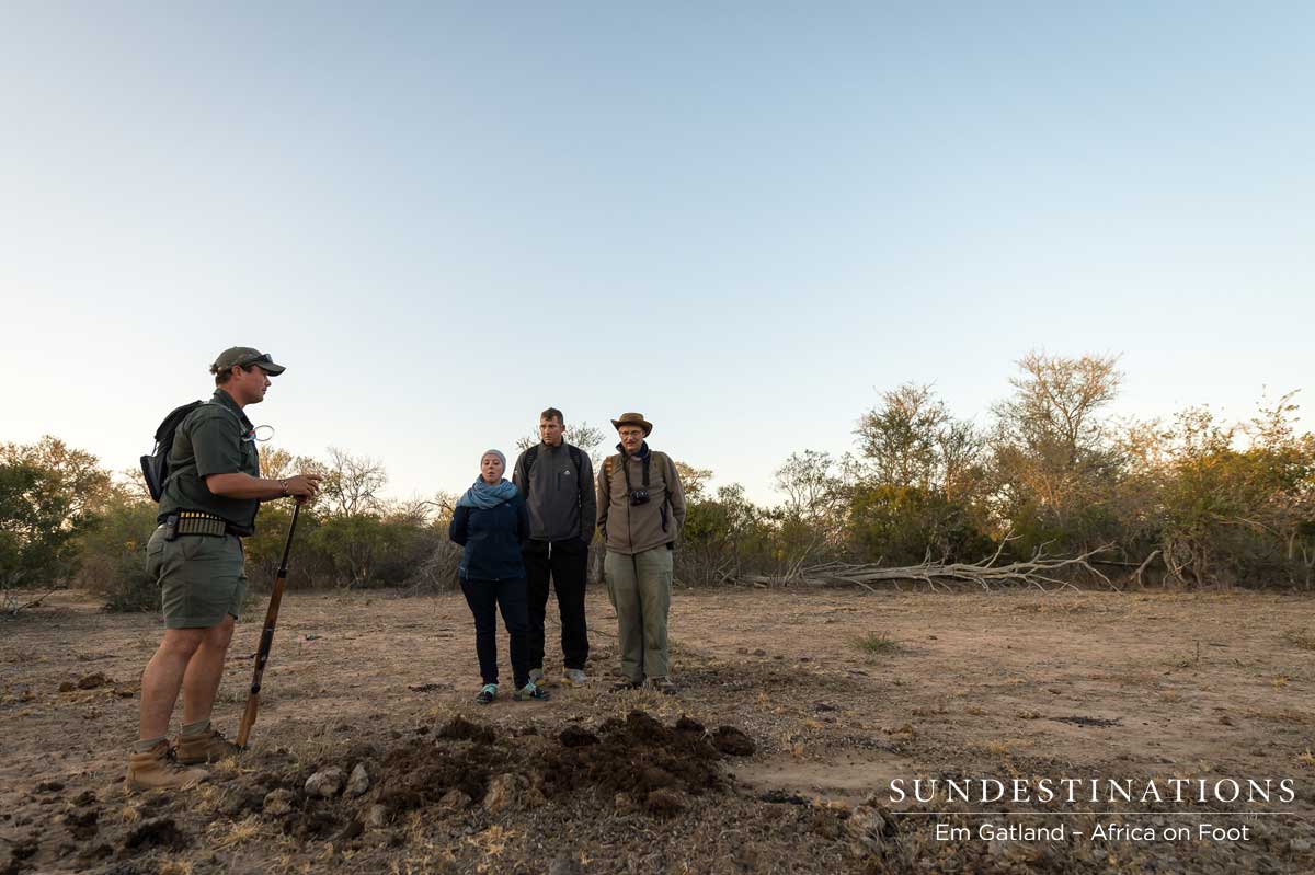 Learning About the Wild Learning About the Wild