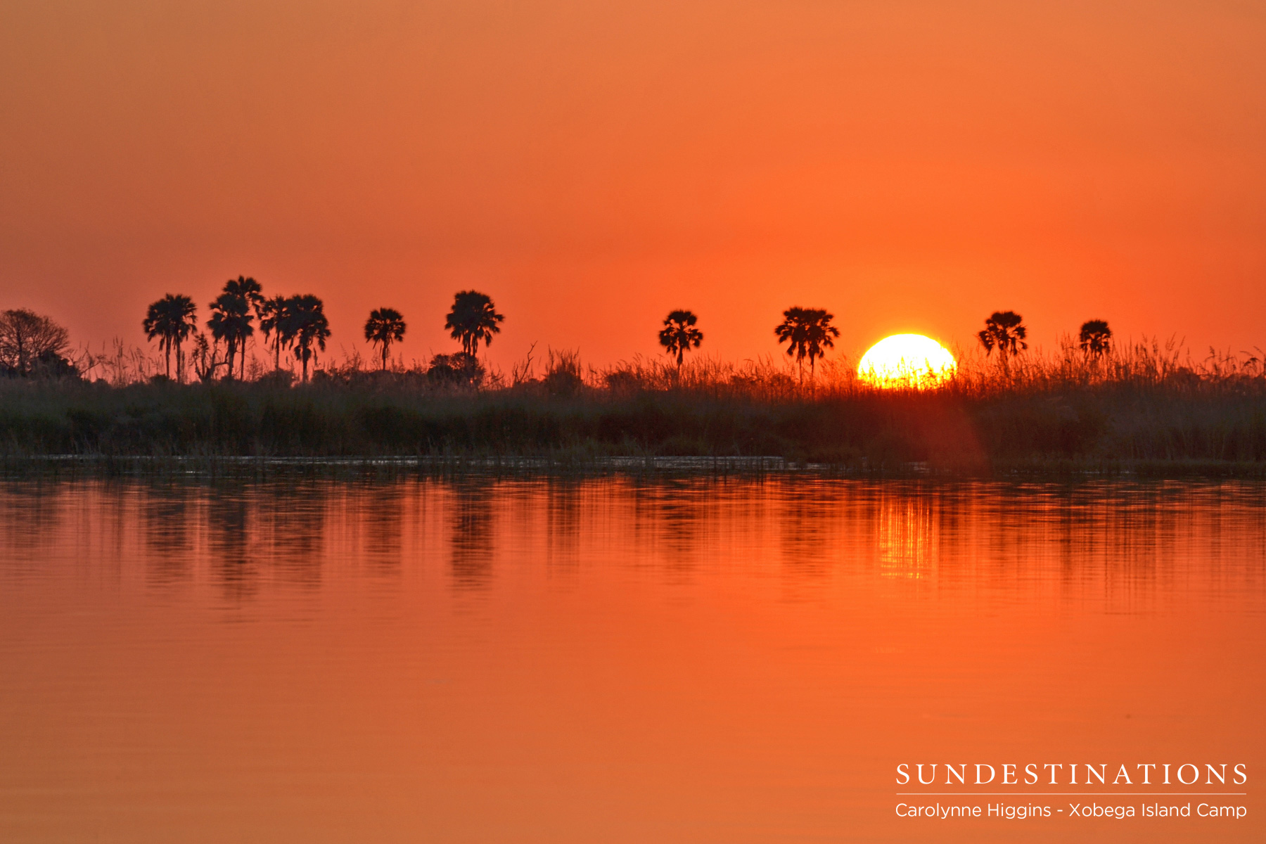 Sunset Over the Okavango Delta Sunset Boat Cruise with Xobega