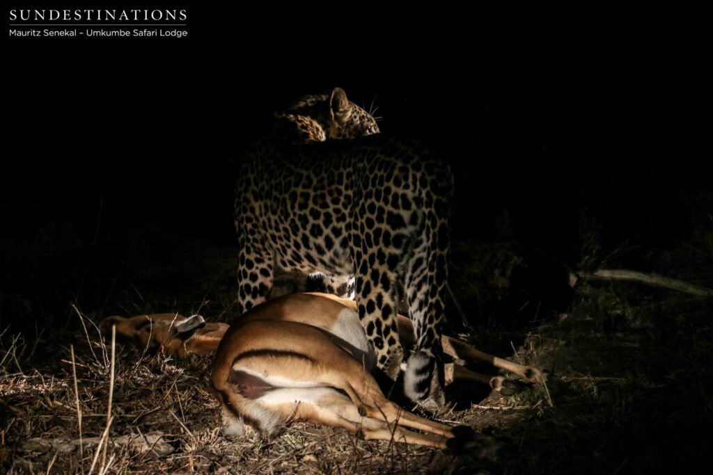 Tatowa takes a breath after completing the kill Tatowa takes a breath after completing the kill